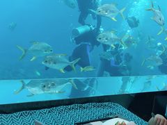-瑞德姆美人鱼海底演艺主题餐厅(亚龙湾店)
