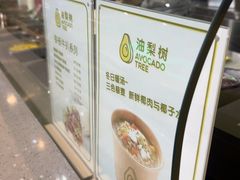 -油梨树AVOCADO TREE(望京店)