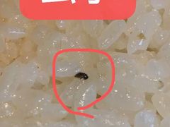 -上海如意智慧酒店(上海科学院店)