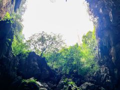 -长寿村