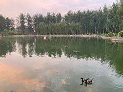 -中家鑫园温泉酒店鑫悦汤泉