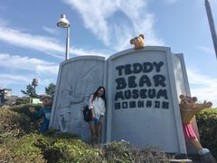 -济州岛泰迪熊博物馆