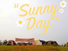 -春花秋色城市公园