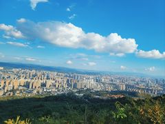 -长虫山生态公园风景林