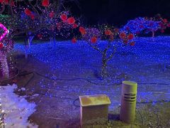 -青龙湖公园