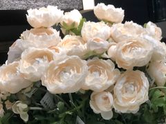 -长城汽车哈弗（重庆顺凯4S店）-地上停车场