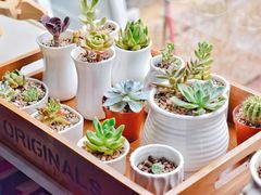 -吃饼人西餐(南开店)