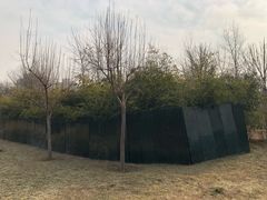 -北极寺公园