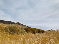 -敦煌雅丹国家地质公园