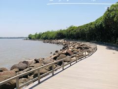 -上海吴淞炮台湾国家湿地公园