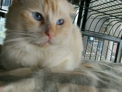 android_upload_pic-赢吧Bliss音乐酒吧