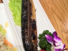 烤秋刀鱼-樱の千渡日式料理·铁板烧•烧鸟(金盛田广场店)