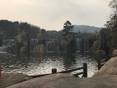 -白马涧龙池景区