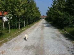 iphone_upload_pic-意大利农场度假村