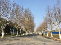 -南京航空航天大学(将军路校区)