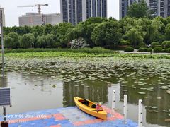 -南翔镇银翔湖公园