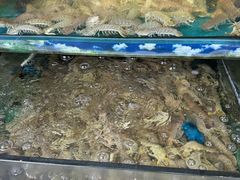 -乐在集市海鲜大排档(平潭店)