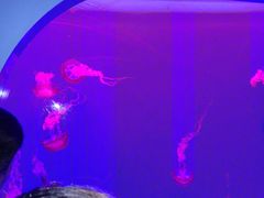 -多彩贵州城极地海洋世界