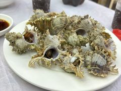 -阿军排档·烧烤