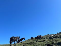 -灵山
