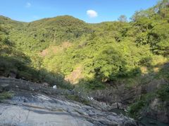 -广州白江湖森林公园