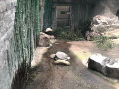 景点-北京动物园