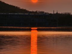 -上海月湖雕塑公园