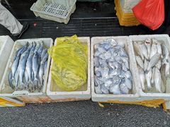 -芦潮港集贸市场