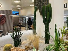 -OUR Bakery(SKP-S店)