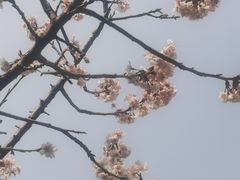 -天朝元辅-徐州民俗博物馆