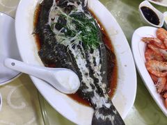 多宝鱼-老字号蛇口德记烧腊饭店·海鲜加工