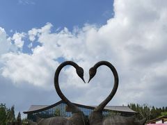 -东平国家森林公园