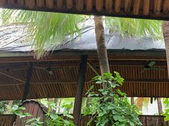 -厦门日月谷温泉渡假村