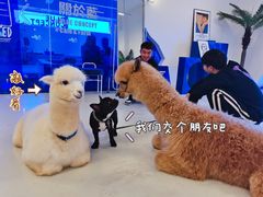 -Blue Concept Cafe&Farm·關於藍