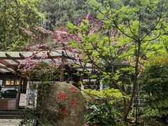 -故乡缘·香格里拉山庄(冷竹路店)