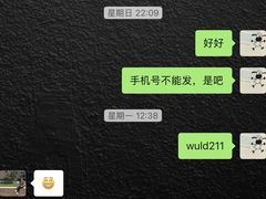 -上海浦东星河湾酒店