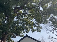 -青竺·青竹茶舍(断桥店)