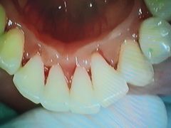 -牙博士口腔品牌连锁(杨浦店)