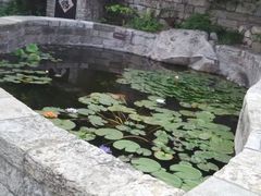 -天朝元辅-徐州民俗博物馆