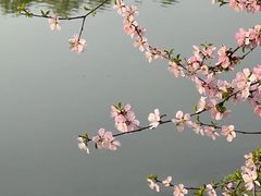 -北京奥林匹克公园