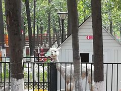 -蓝地时尚庄园(北京清河营地铁站店)