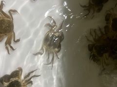 -桃苑居阳澄湖·蟹千恩(美人腿店)