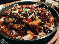 -老板恋上鱼(环山路店)