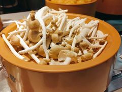 -龍歌自助小火锅(李沧顺和汇店)