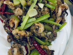 干煸鱿鱼须-昱德来·天津菜(河西店)