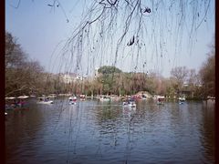 android_upload_pic-北湖公园