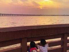 -宝安西湾红树林湿地公园