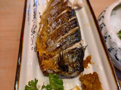 -明治屋(二十三年洪化桥店)