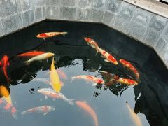 -西安市广仁寺