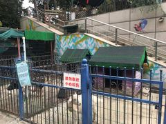 -上海佘山世茂艾美酒店